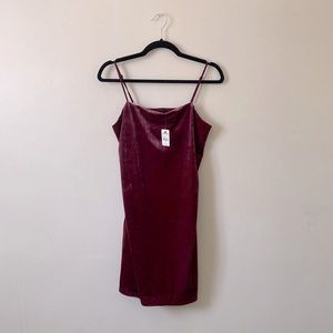 Express Burgundy Velvet Mini Dress